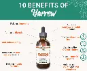 benefits-yarrow-hawaii-pharm.webp