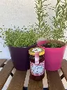 removable-labels-for-jars-inspiration-3.webp
