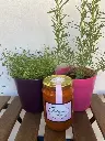 removable-labels-for-jars-inspiration-1.webp