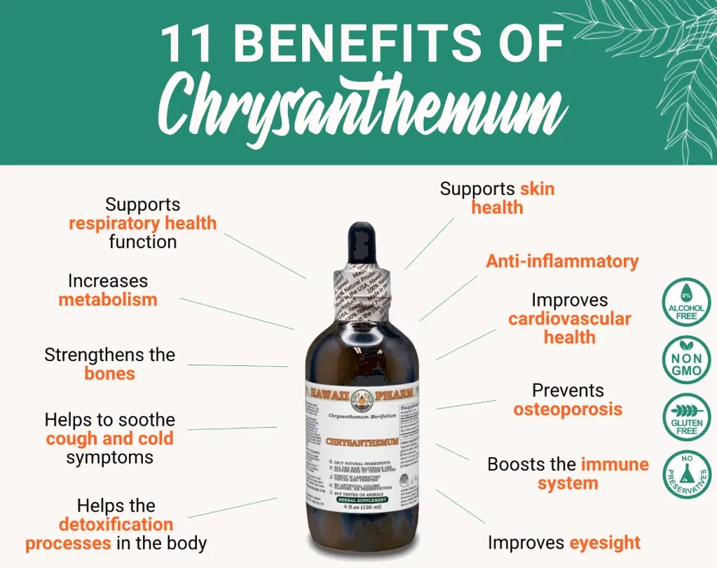 benefits-chrysanthemum-hawaii-pharm.webp
