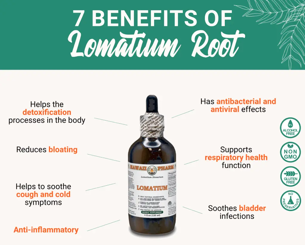 benefits-lomatium-root-hawaii-pharm.webp