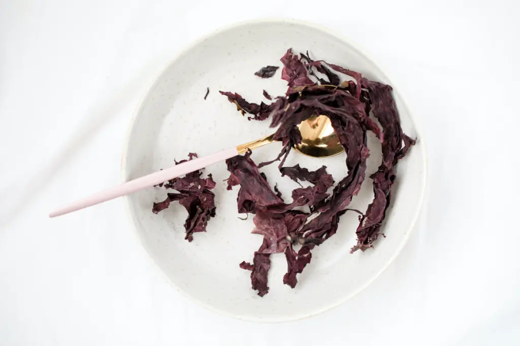 organic-dulse-pura-fons.webp