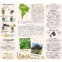 Aromandise_Wild_Green_Yerba_Mate_Brazil_Map.webp
