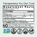 Horsetail Extract Alcohol Free Label.webp