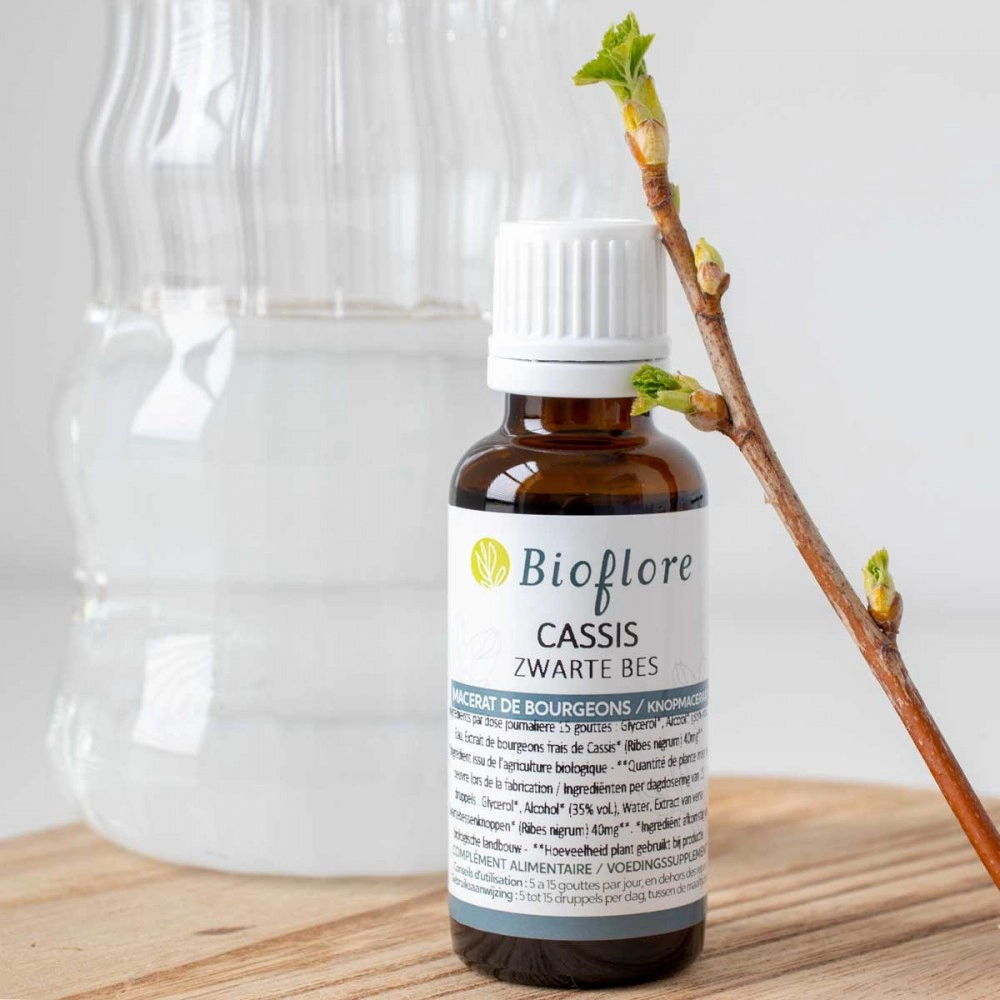 Blackcurrant Bud Organic Macerate