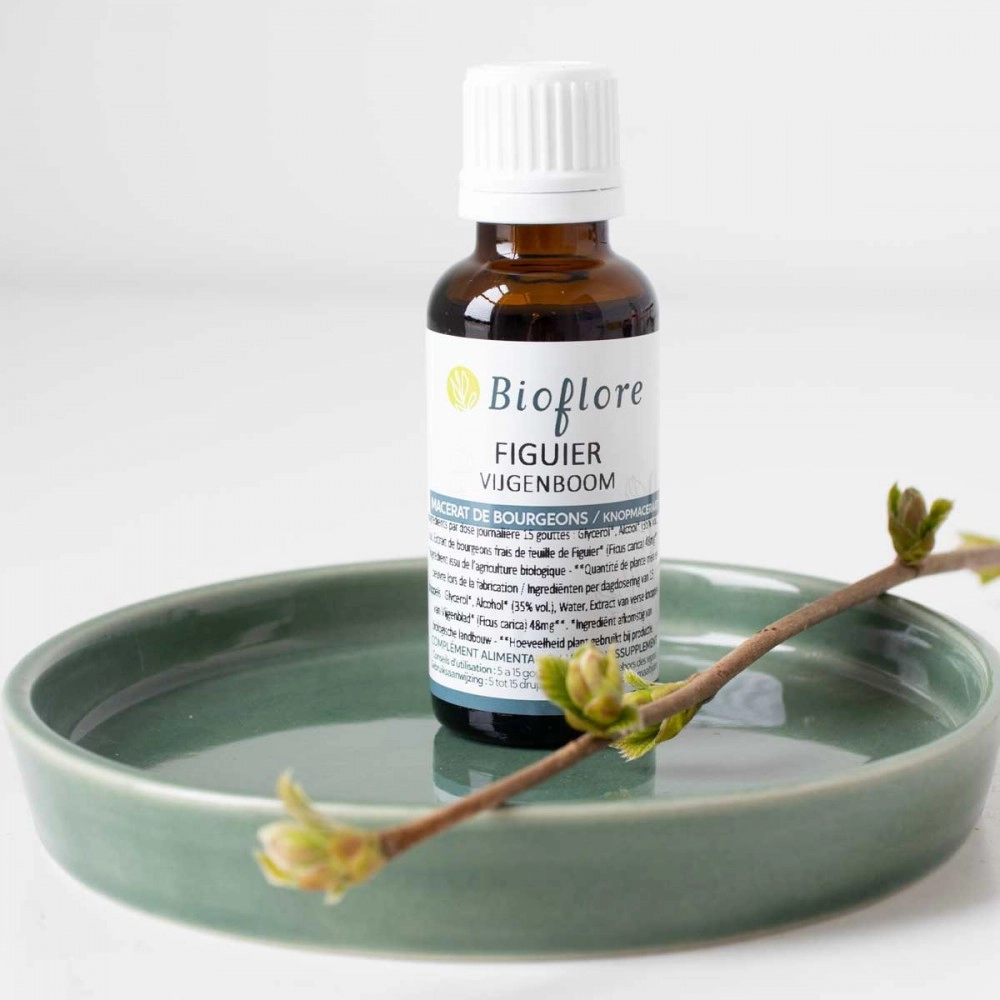 [BIOF_ORGANIC_FIG_BUD_MACERATE_OILY_MACERATE_30ML] Organic Fig Bud Macerate