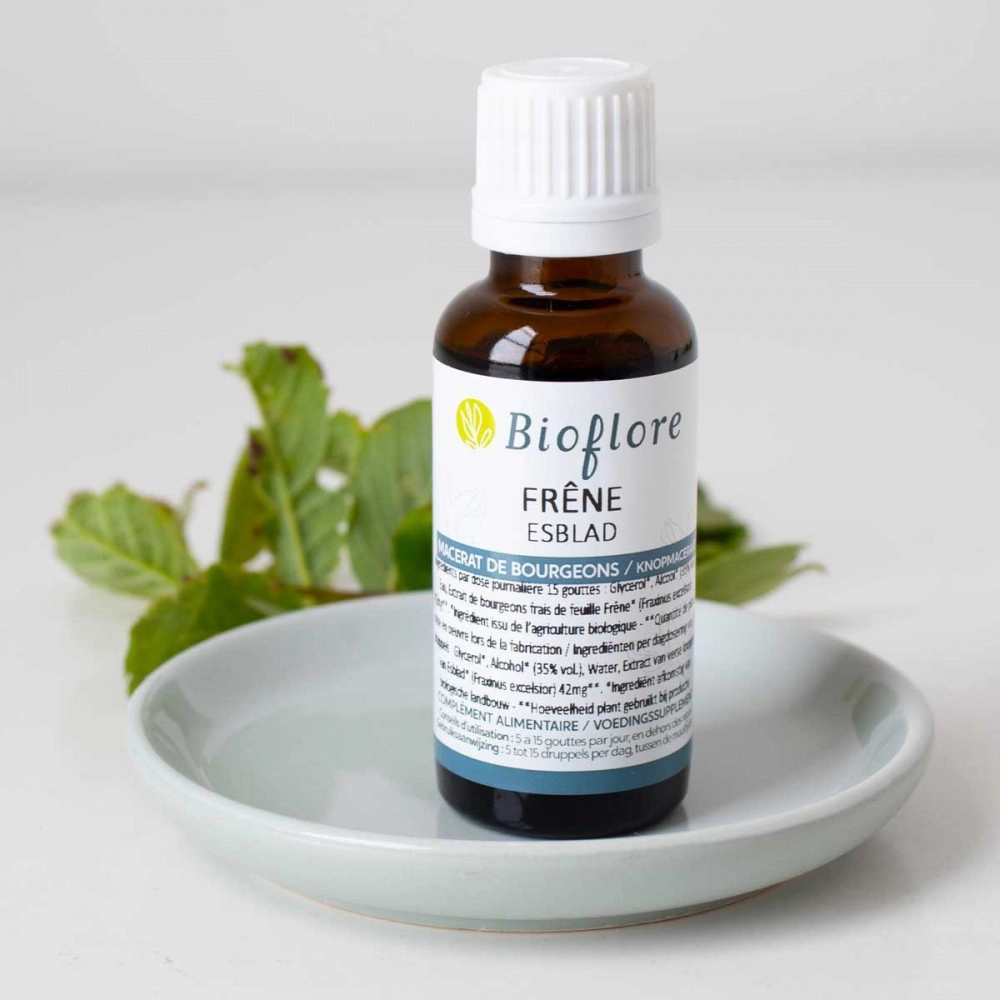 Ash Tree Bud Organic Macerate