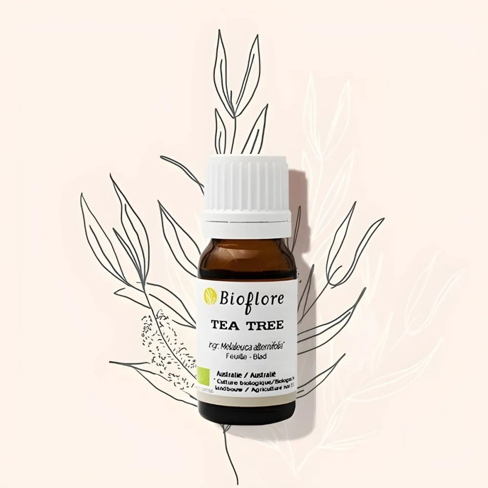 [BIOF_AUSTRALIAN_TEA_TREE_OIL_10ML] Органично етерично масло от австралийско чаено дърво (Melaleuca alternifolia) (10 ml)