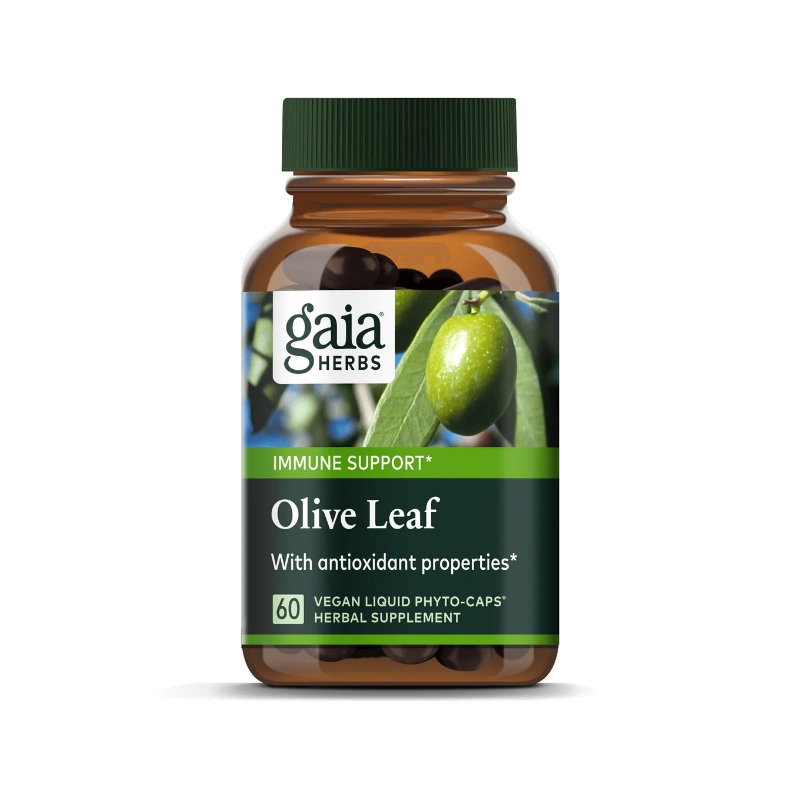 [GAIA-OLIVE] Olive Leaf