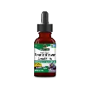 PASSION FLOWER EXTRACT (ALCOHOL FREE) 