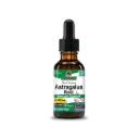 Astragalus Root Extract (Alcohol Free) 