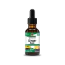 Ginger Extract (Alcohol Free) 