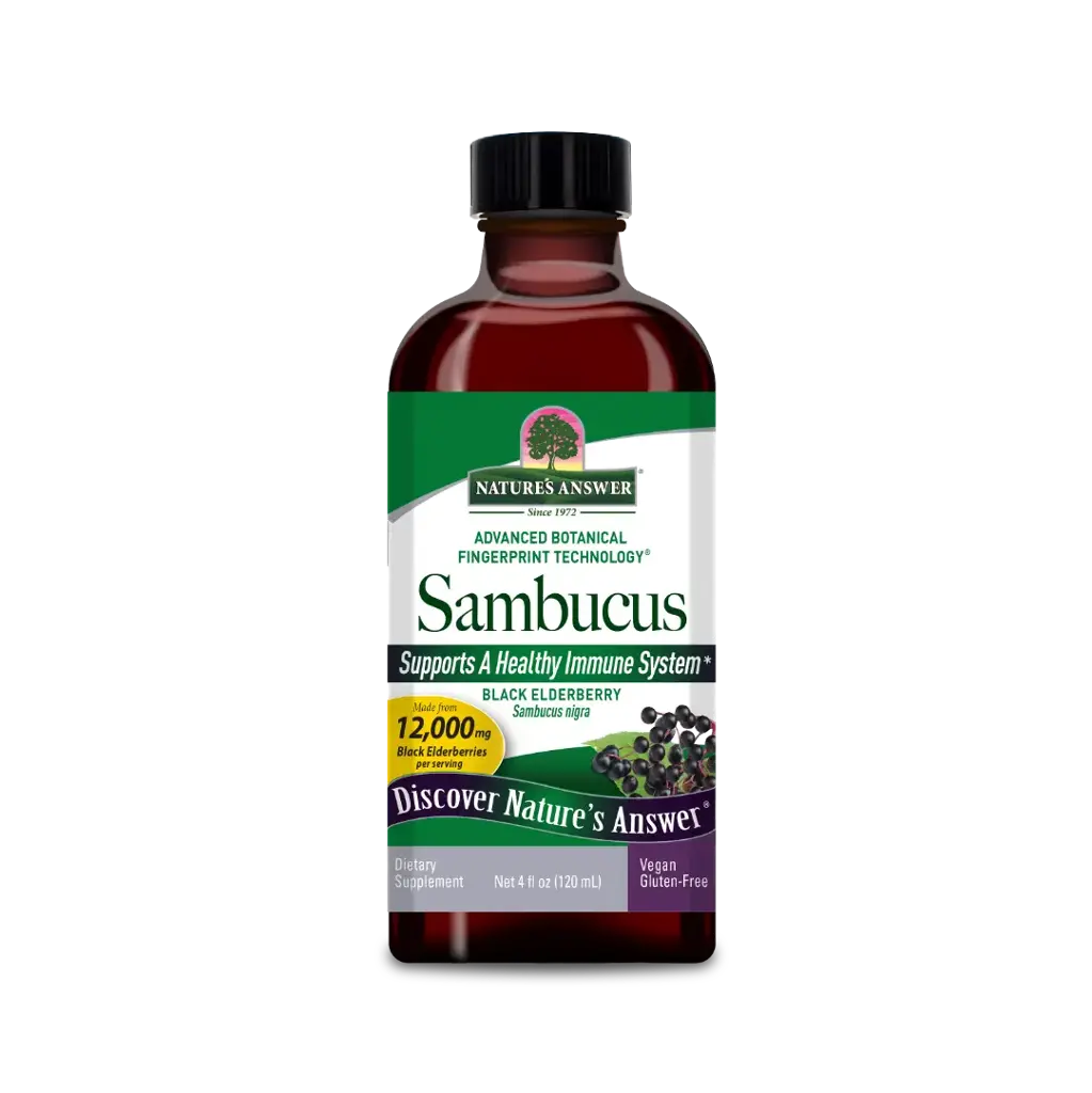 SAMBUCUS ORIGINAL