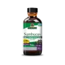 SAMBUCUS ORIGINAL