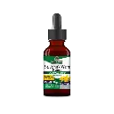 St John’s Wort Liquid Extract (Alcohol Free) 