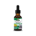Skullcap Extract (Alcohol Free)