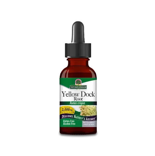 [YDOCK-30] YELLOW DOCK ROOT EXTRACT (ALCOHOL FREE) 